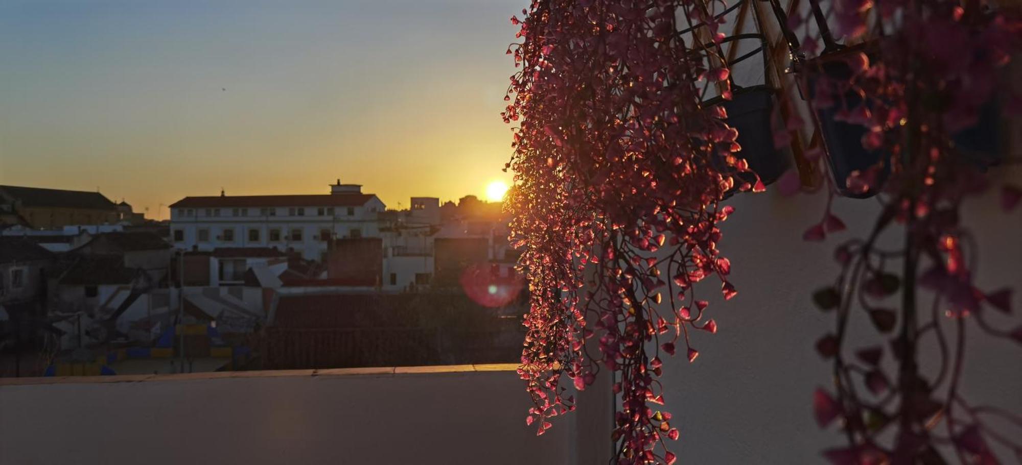 La Luz De San Eloy Lejlighed Córdoba Eksteriør billede